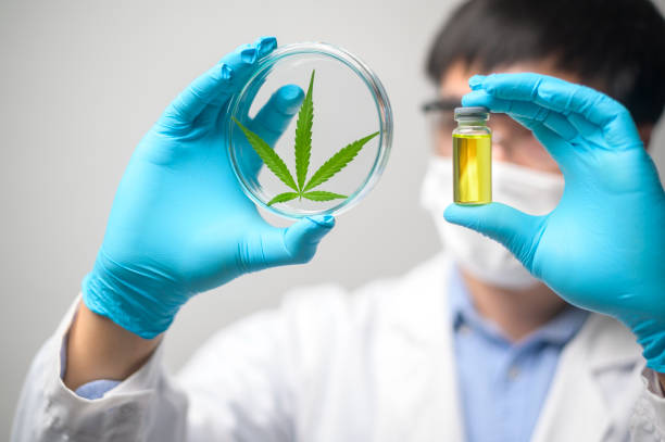 Read more about the article Medical cannabis products that are ruling the world